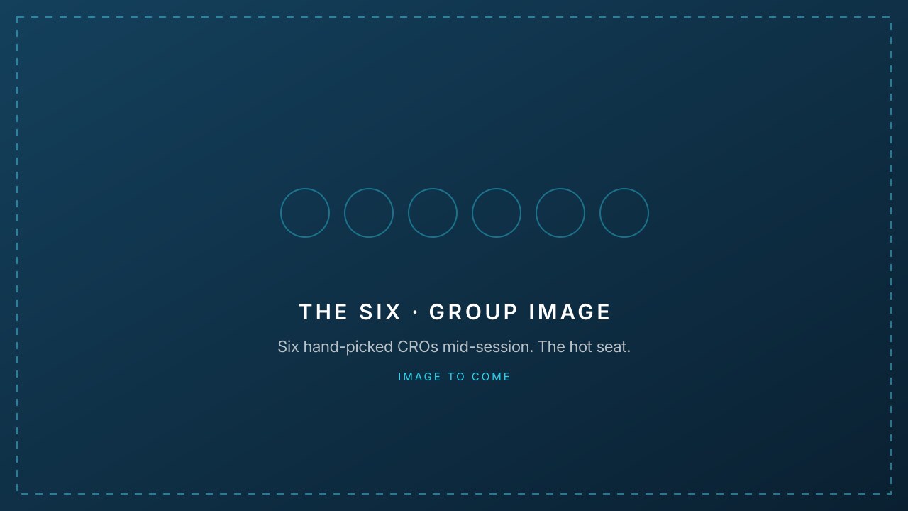 Placeholder for the six-person group image: six hand-picked CROs mid-session
